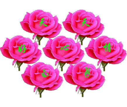 送给我思念的老同学,老同学我想你原版