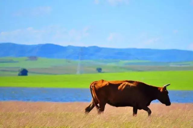 长春高速旅游攻略,自驾东北吉林省最美盘山公路