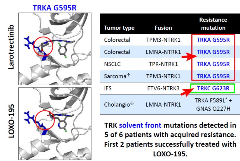 神奇制药抗癌药取得突破,神奇制药抗癌专利