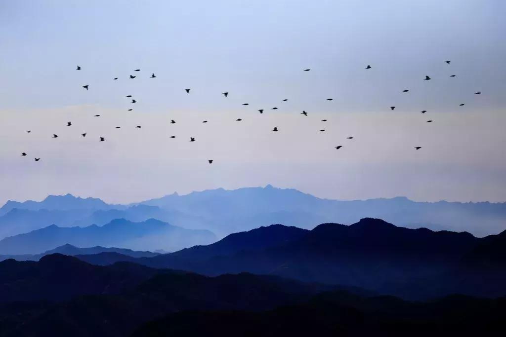 索尼dsc-rx100m6黑卡6代数码相机,索尼黑卡rx100m5a评测