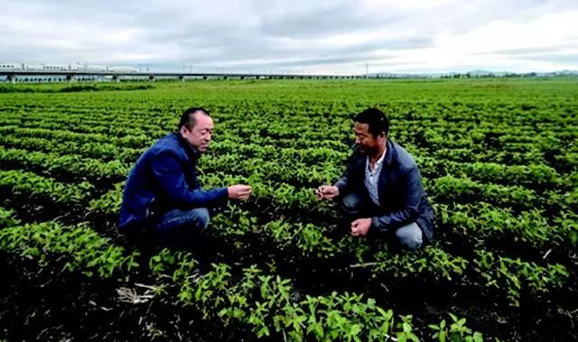 亩产4万元的创业项目,挖掘优质创业项目