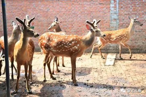 有您的邀请函请注意查收,文艺消夏汇演邀请函