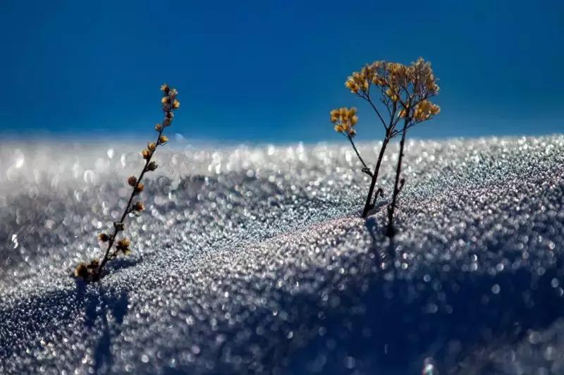 武汉哪里适合看世界杯,去俄罗斯和看世界杯