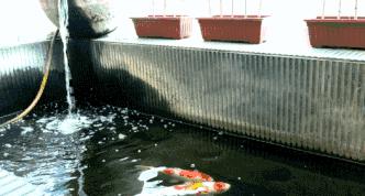 看球烧烤世界杯,酒馆烧烤世界杯