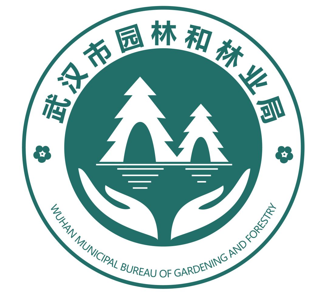 体育中心看展菊,在体育中心玩乐的一天