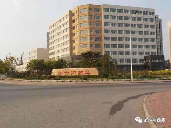 镇街纪委书记,镇国神婿小说