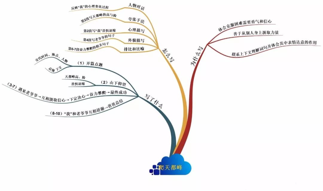 三年级上册语文思维导图模板空白,三年级语文第一单元思维导图8k纸