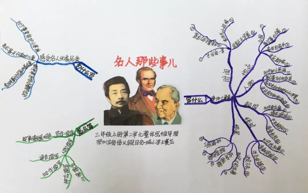 三年级上册语文思维导图模板空白,三年级语文第一单元思维导图8k纸