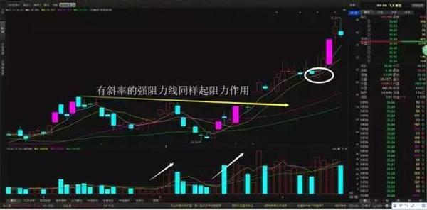 上海顶级股票操盘手,上海黑马操盘手