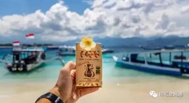 印尼有什么可以带回来的好吃的,印尼有什么可以带回去的