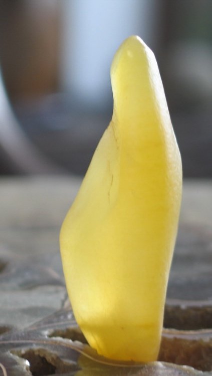 金丝玉宝石光精品图,新疆金丝玉宝石光欣赏