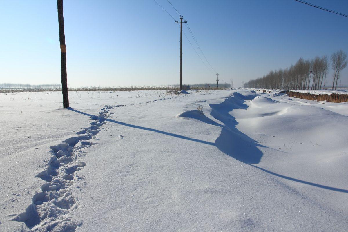 曾经的东北比山东强吗,东北为什么没发展起来