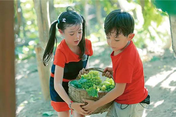 中国红酒供销网——葡萄酒到底是怎么酿造出来的？