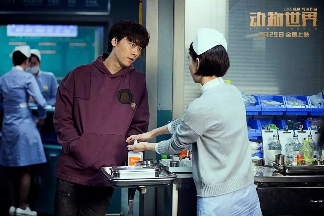 李易峰动物世界电影讲什么,李易峰动物世界在哪看