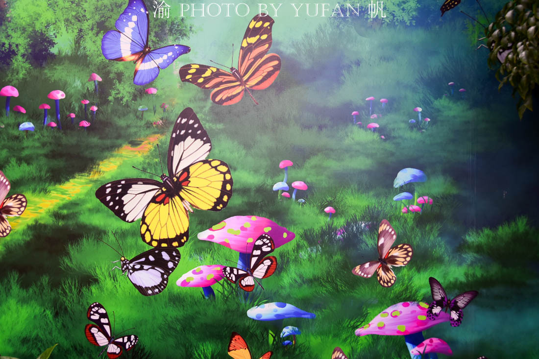 中国的国蝶是什么？居然很多人都不知道！来亚州最大有蝴蝶馆看看