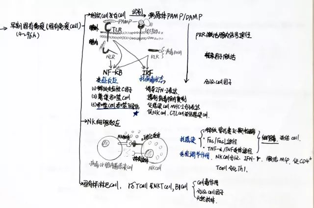 学霸笔记经典语录励志,学霸的笔记是真的吗