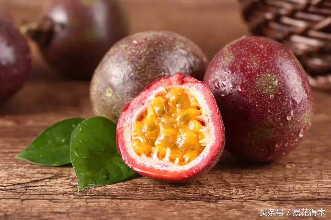 百香果栽培的最佳温度,百香果苗栽培多久能结果