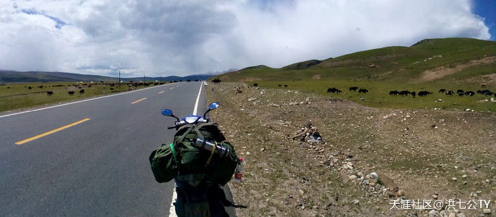 一个人、一只狗、一辆小踏板，风雨30天去*藏西**的故事（四）