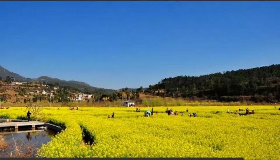 昆明国庆假期自驾游攻略,五一昆明最适合去的地方