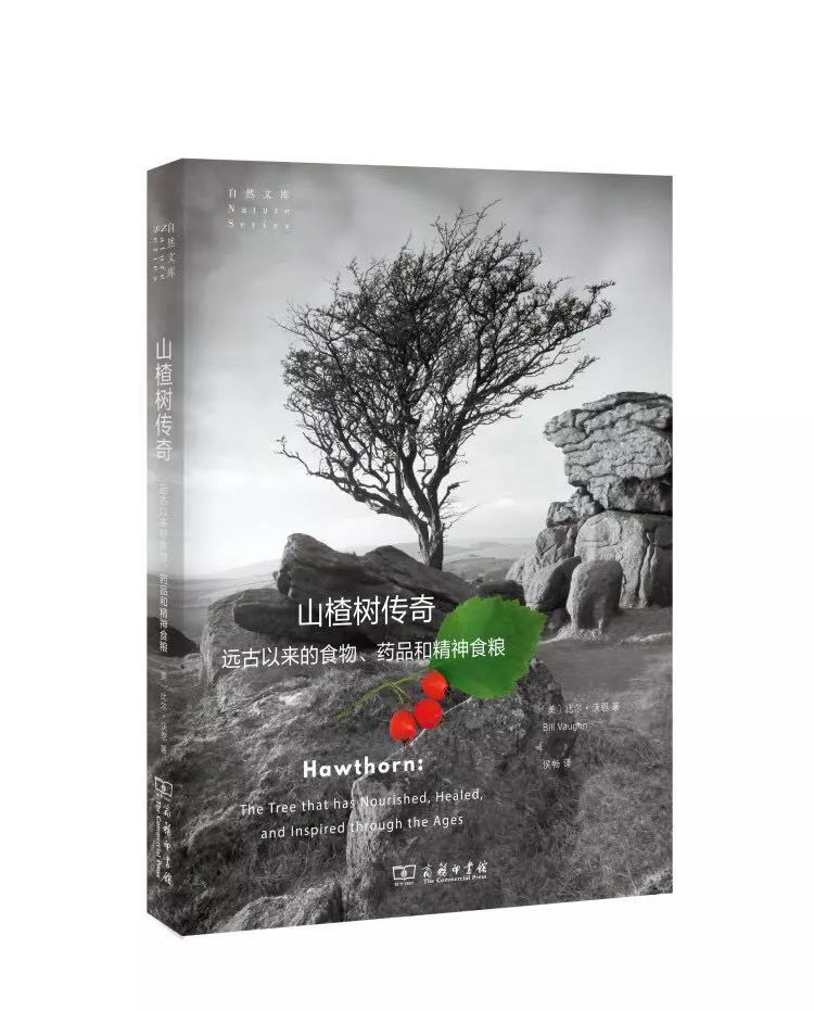 年货精选分享,年货精选30本哲学好书