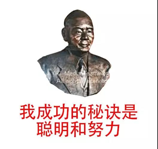 启初为什么这么多牌子,启初旗下品牌有哪些