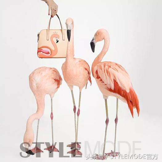 katespade,katespade包还有人背吗