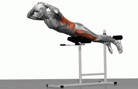 腰椎间盘突出康复训练运动英文,运动康复如何治疗腰椎间盘突出