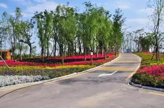 西安雁鸣湖跑道,西安城市运动公园跑道