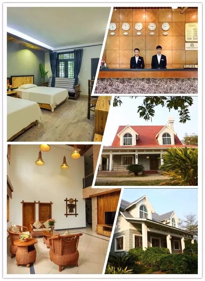 激情世界杯活动目标,激情澎湃的世界杯