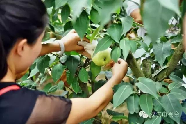 双流县十大美女,双流区漂亮美女