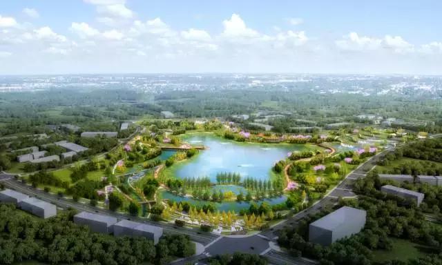 双流人公认的12大美女，一个比一个惊艳，简直是人间极品！