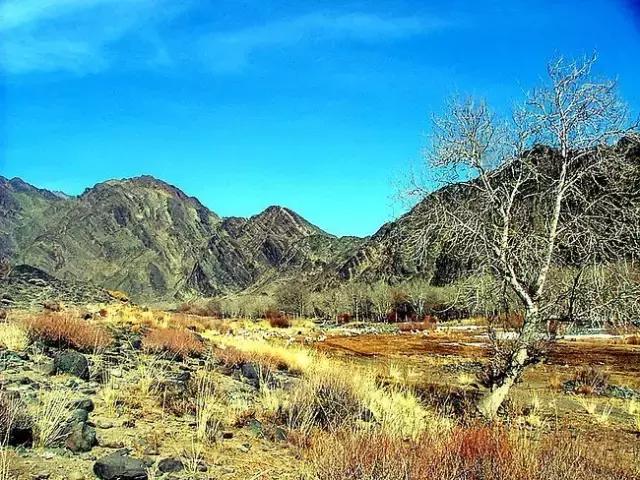 疆内春季风景,疆内美丽旅游景点