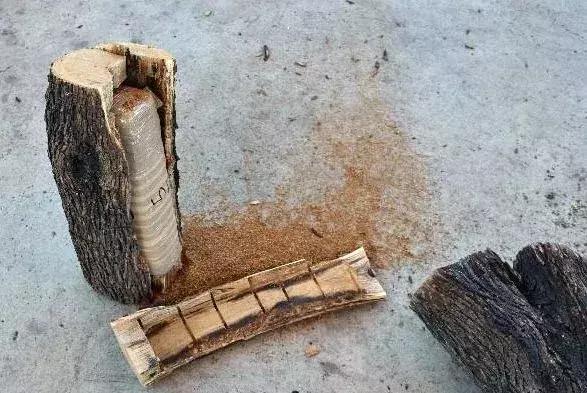 可笑又可怕，为了运毒，他们连小丁丁都不放过