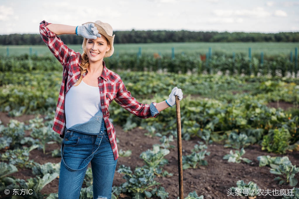 农村的四大俗语很俗吗,丑妻薄地破棉袄出自哪个典故