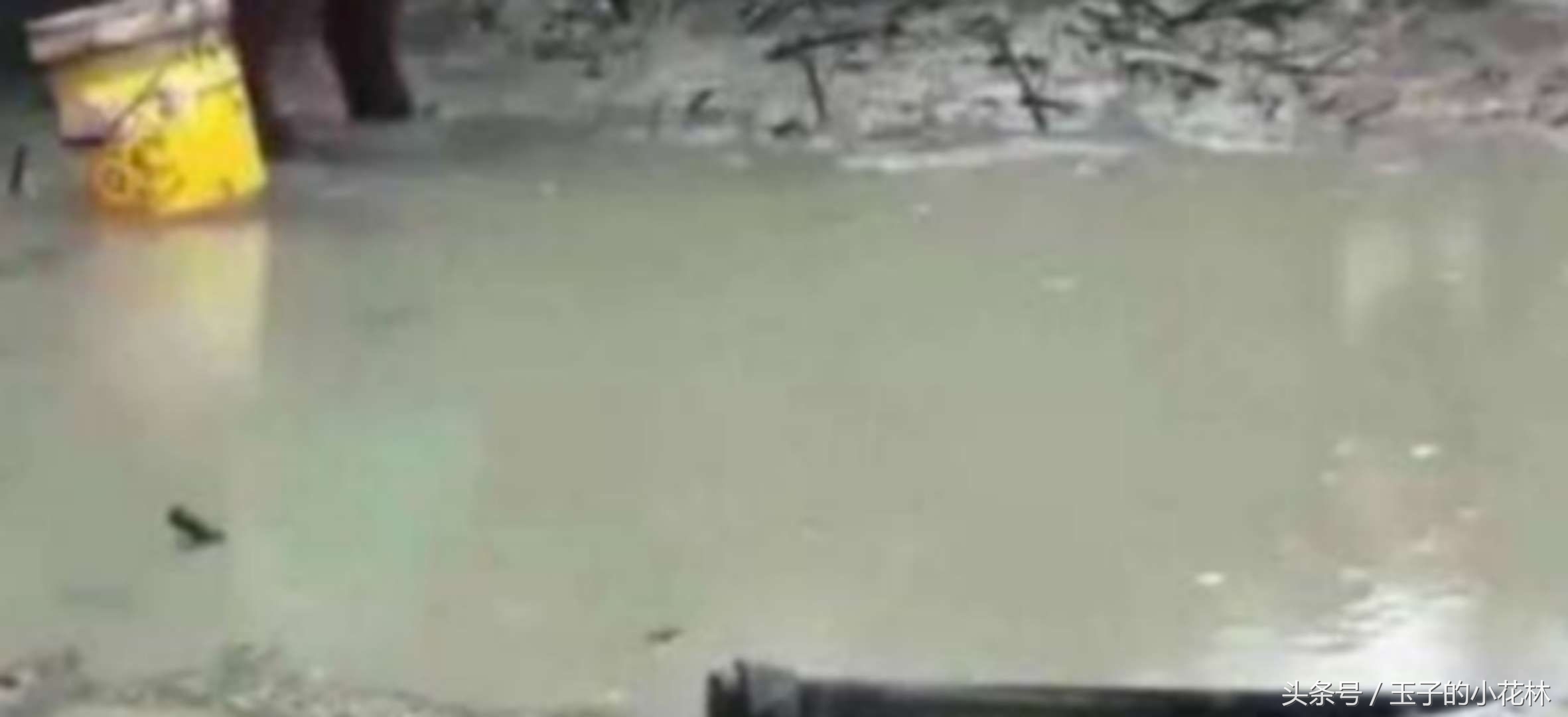 华为手机掉水里了正确处理方法,手机掉水里1秒就捞起来有事吗