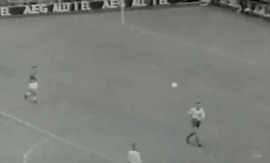 1962世界杯贝利数据,世界杯一百零八将