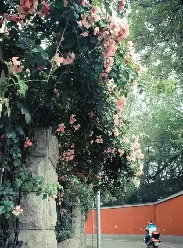 郑州周边夏天好玩的景点,郑州夏天旅游攻略景点必去