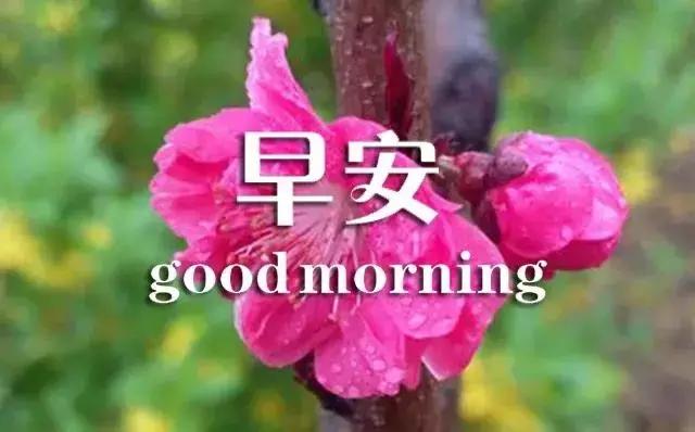 关于早安的句子唯美图片带字,早安语录唯美带字图片