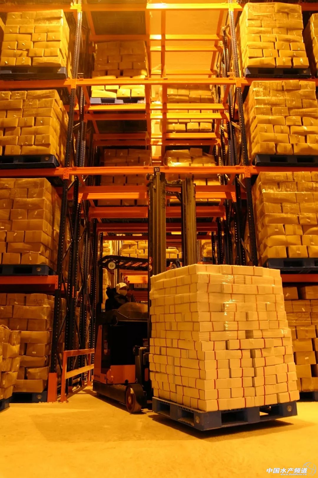 越南巴沙鱼产能,越南河内巴沙鱼工厂简介