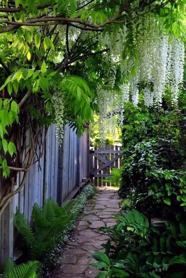 我从山中来诗词七律,我从山中来诗句