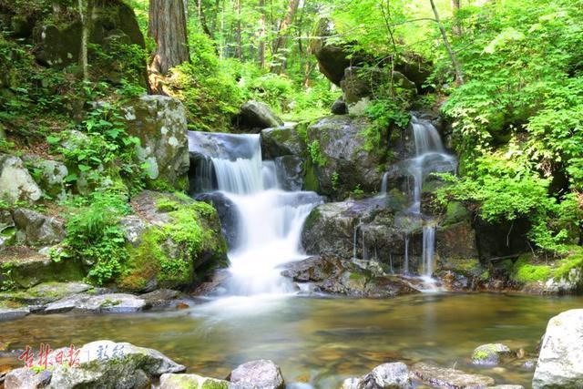 深读，这就是延边！这里有一个22℃的夏天，还有……