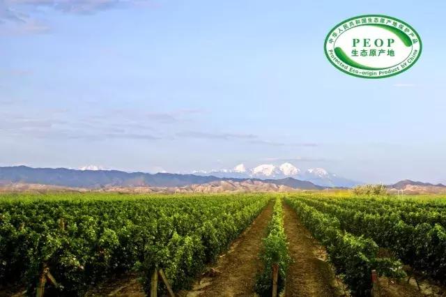 尼雅葡萄酒赤霞珠特酿级,尼雅葡萄酒白葡萄