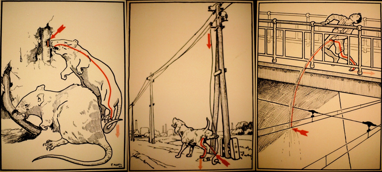 暴雨天气预防雷击安全知识,暴雨雷电安全