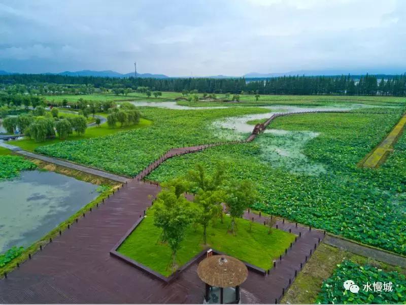 荷你有约金湖音乐节,荷你有约开学典礼