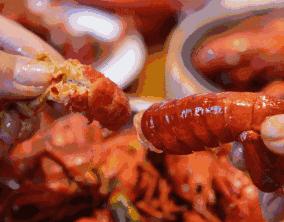 天猫开出618最大年中奖新锦鲤,史上最强的抽奖