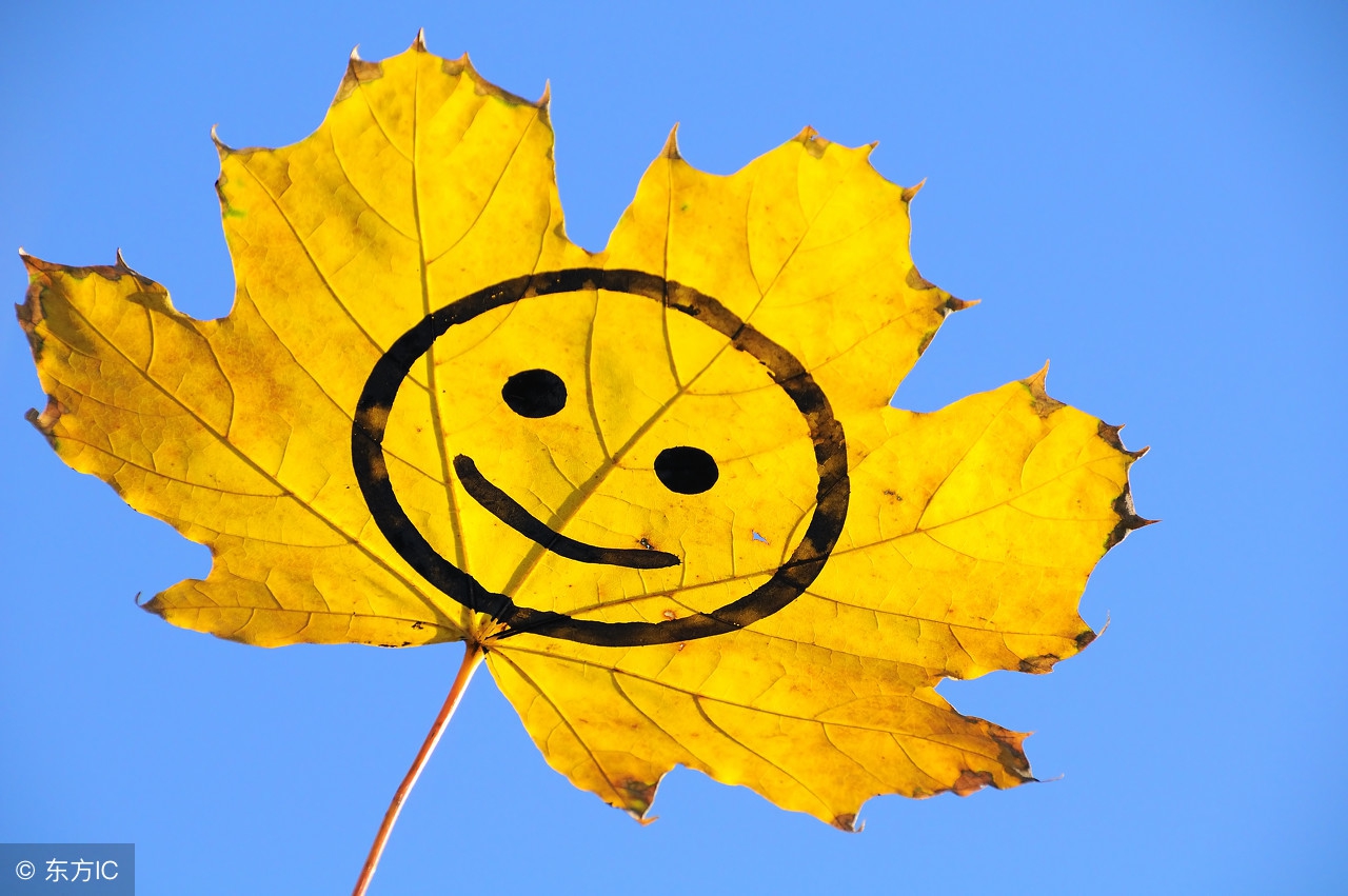 中国股市血一般的教训：记住了固定盈利铁律，你就可以快速盈利！