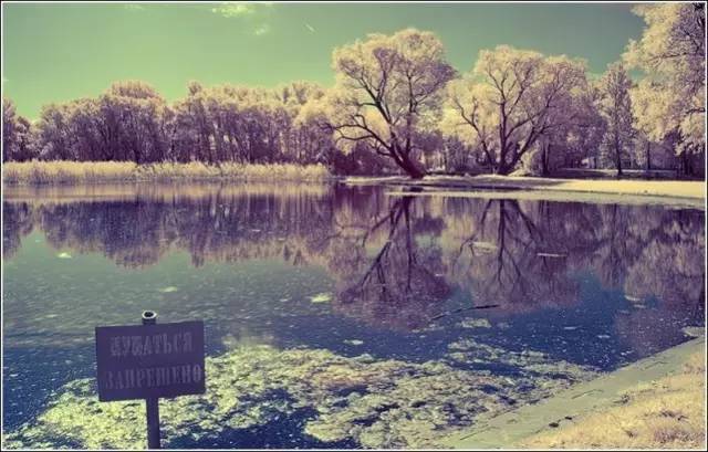 俄罗斯美女看世界杯,世界杯俄罗斯美女视频