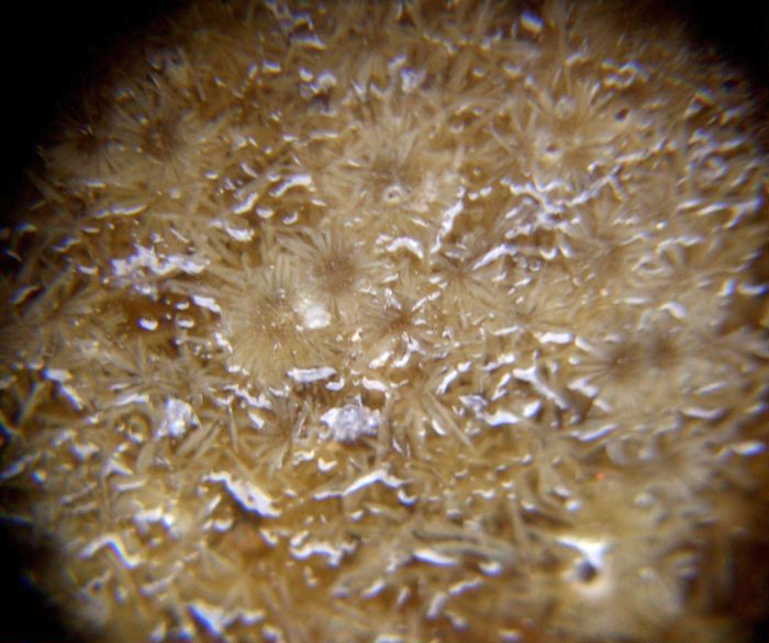 古瓷如何鉴定真伪,古瓷真伪鉴别的六种方法