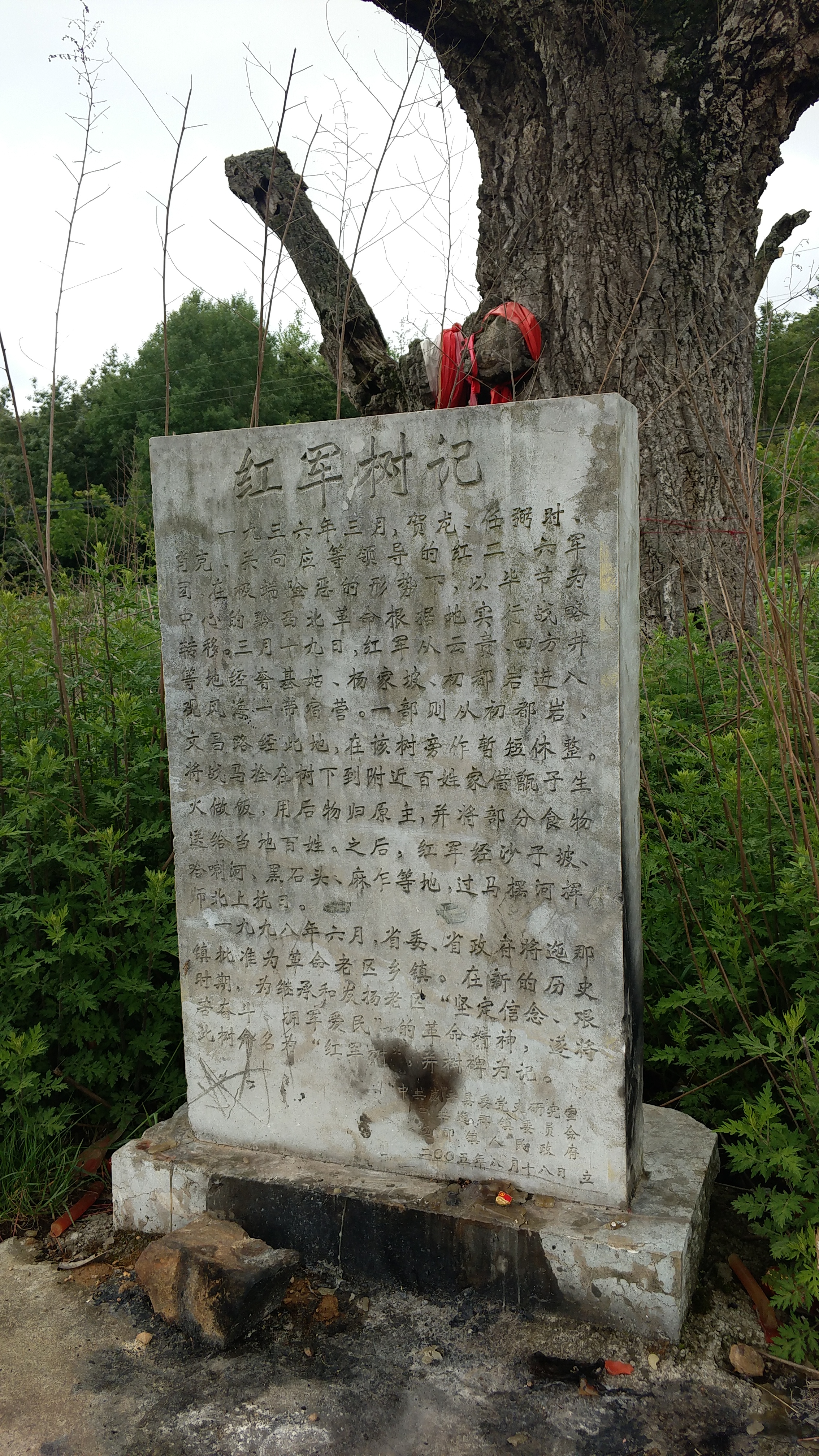 骑行进藏第51天,骑行第49天到拉萨