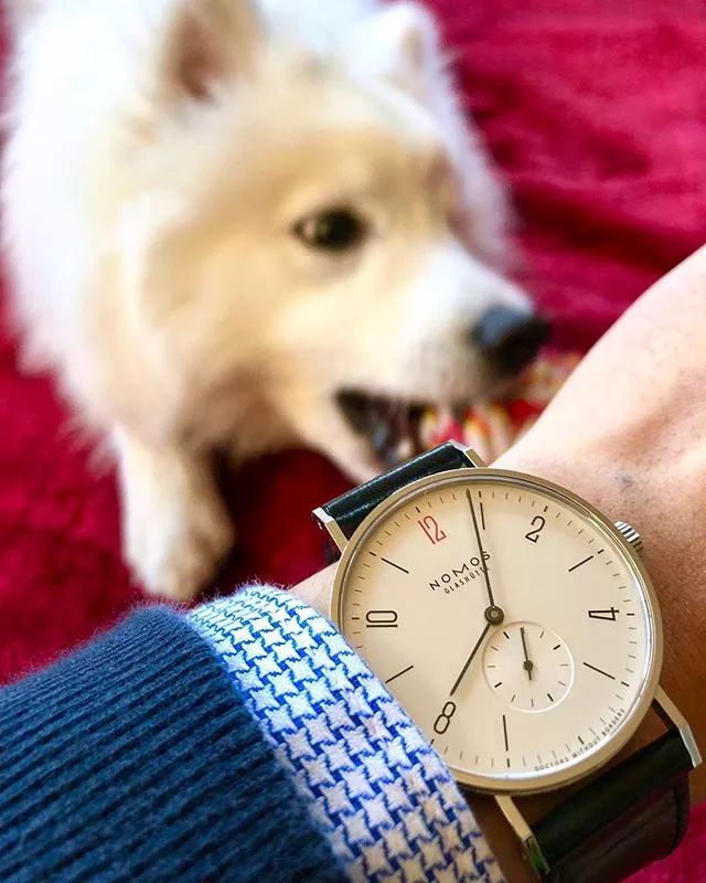 浪琴康卡斯男表万元内,一万左右男表除了浪琴还有啥